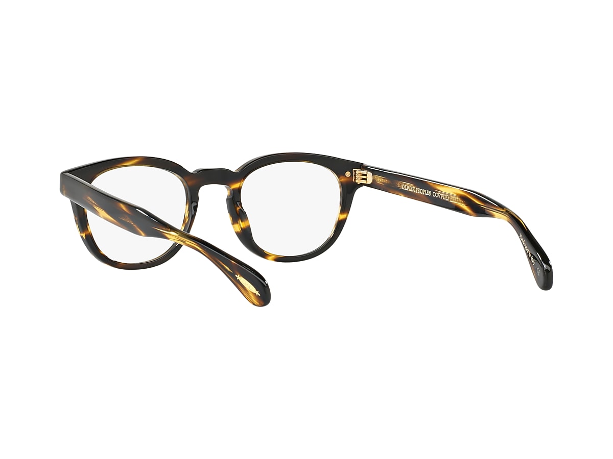 OV5036 Eyeglasses Cocobolo | Oliver Peoples International