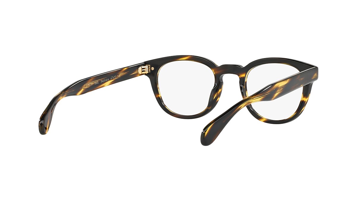 OV5036 Eyeglasses Cocobolo | Oliver Peoples USA