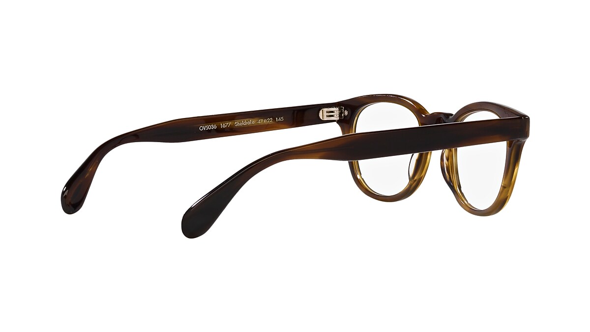 Eyeglasses OV5036A - Bark - Clear - アセテート | Oliver